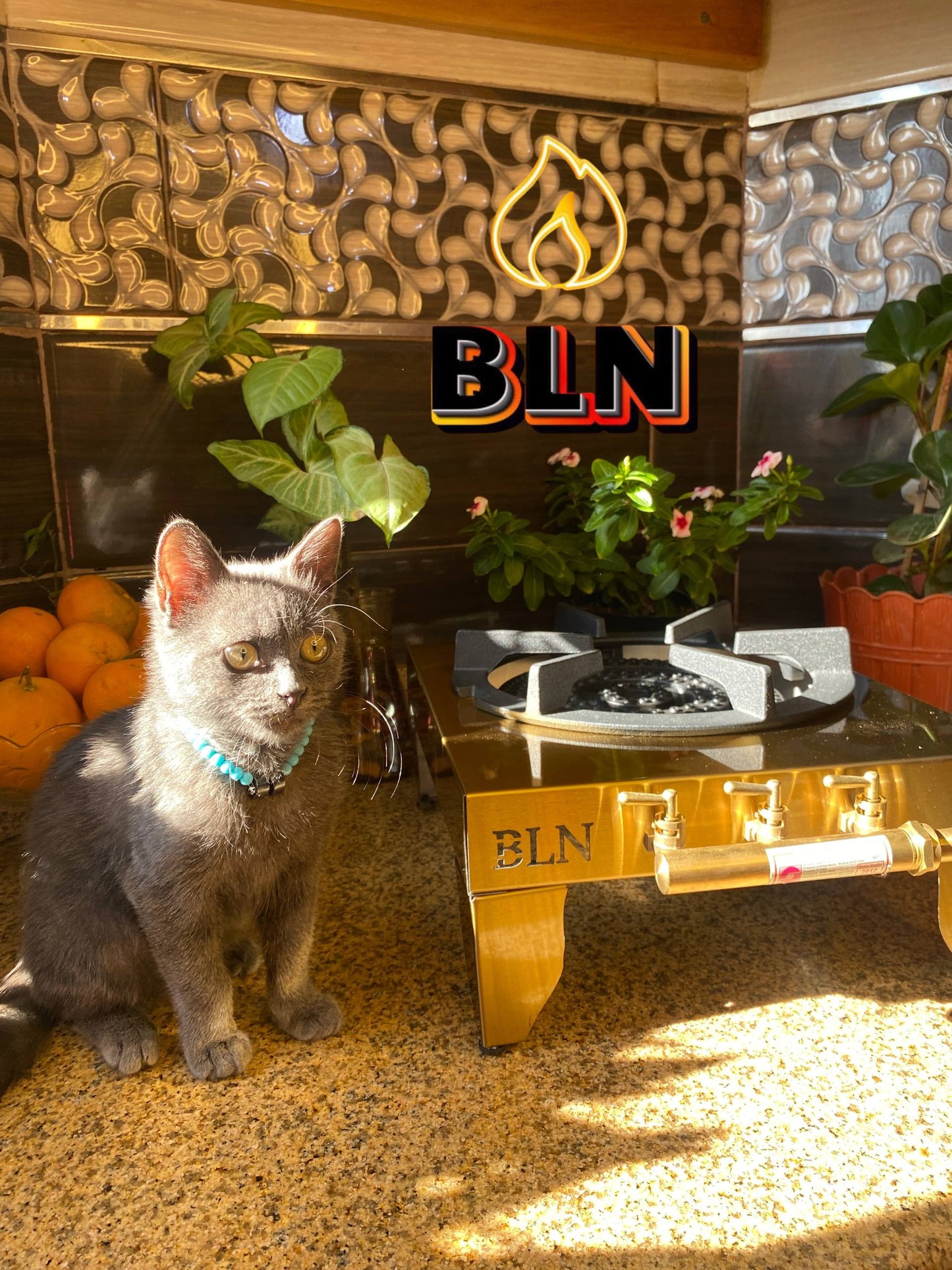 طابونة ذهبية 24كارا