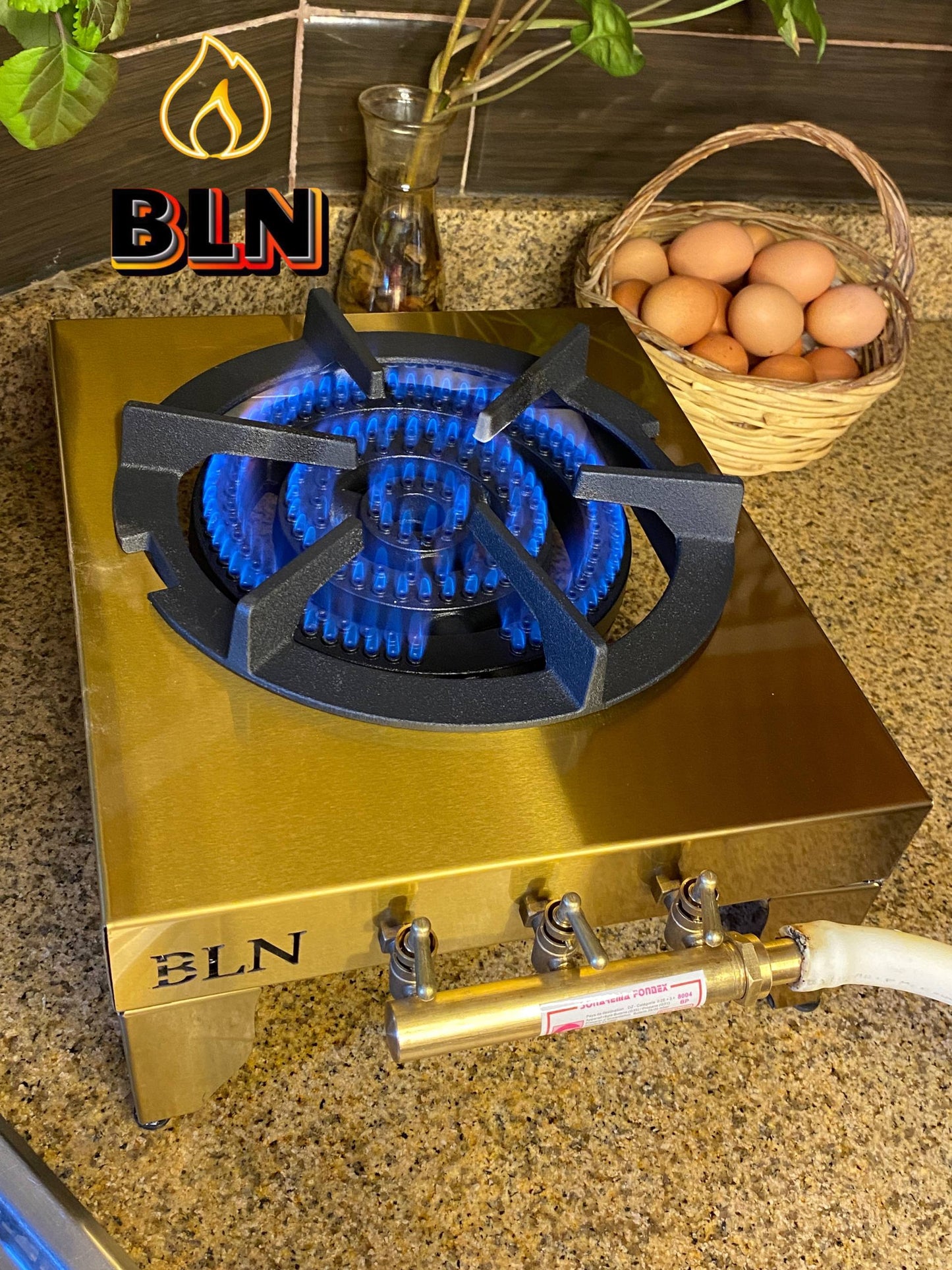 طابونة ذهبية 24كارا